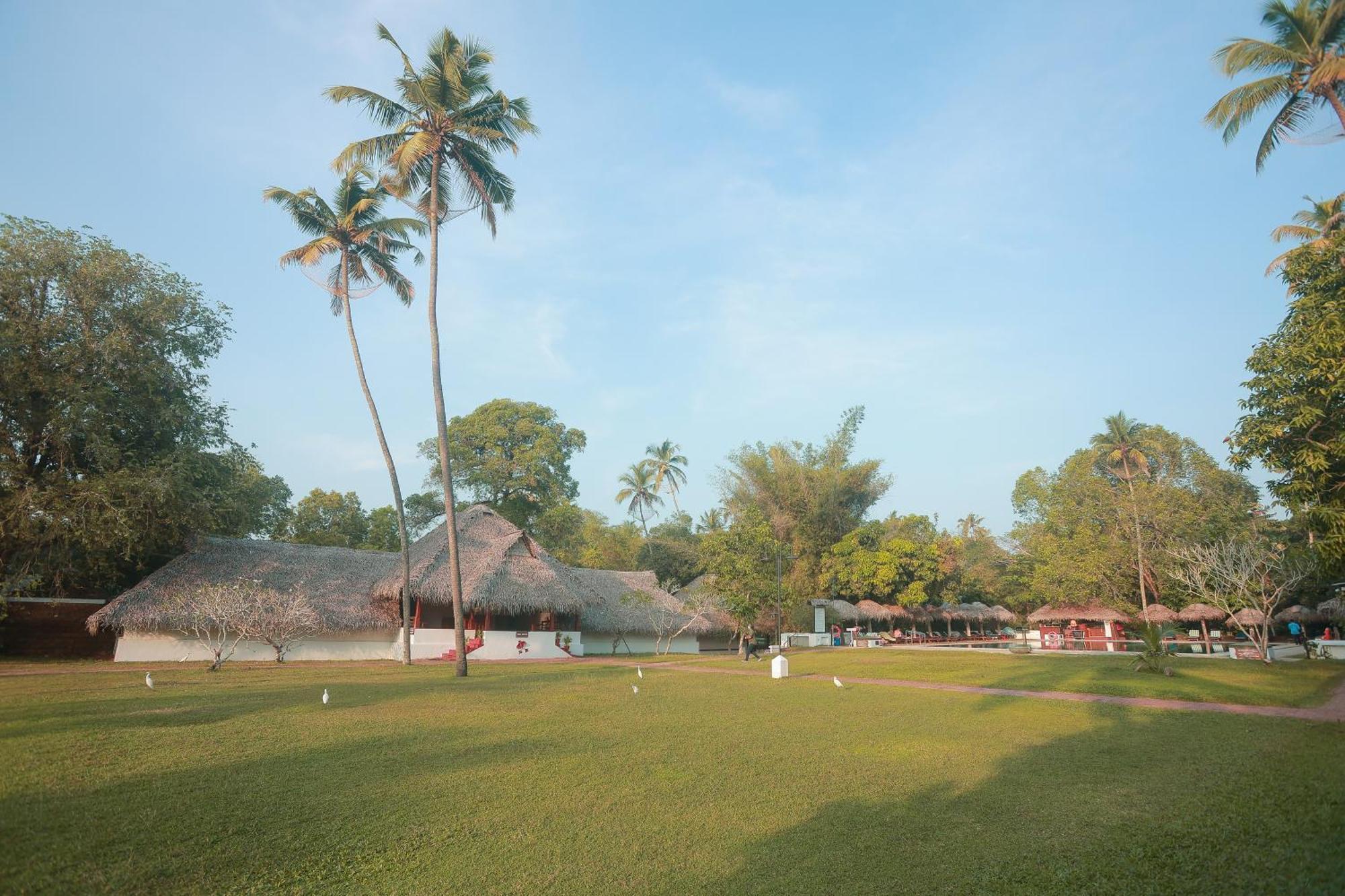 Marari Beach Resort Alleppey - A Cgh Earth Experience Mararikulam Ngoại thất bức ảnh